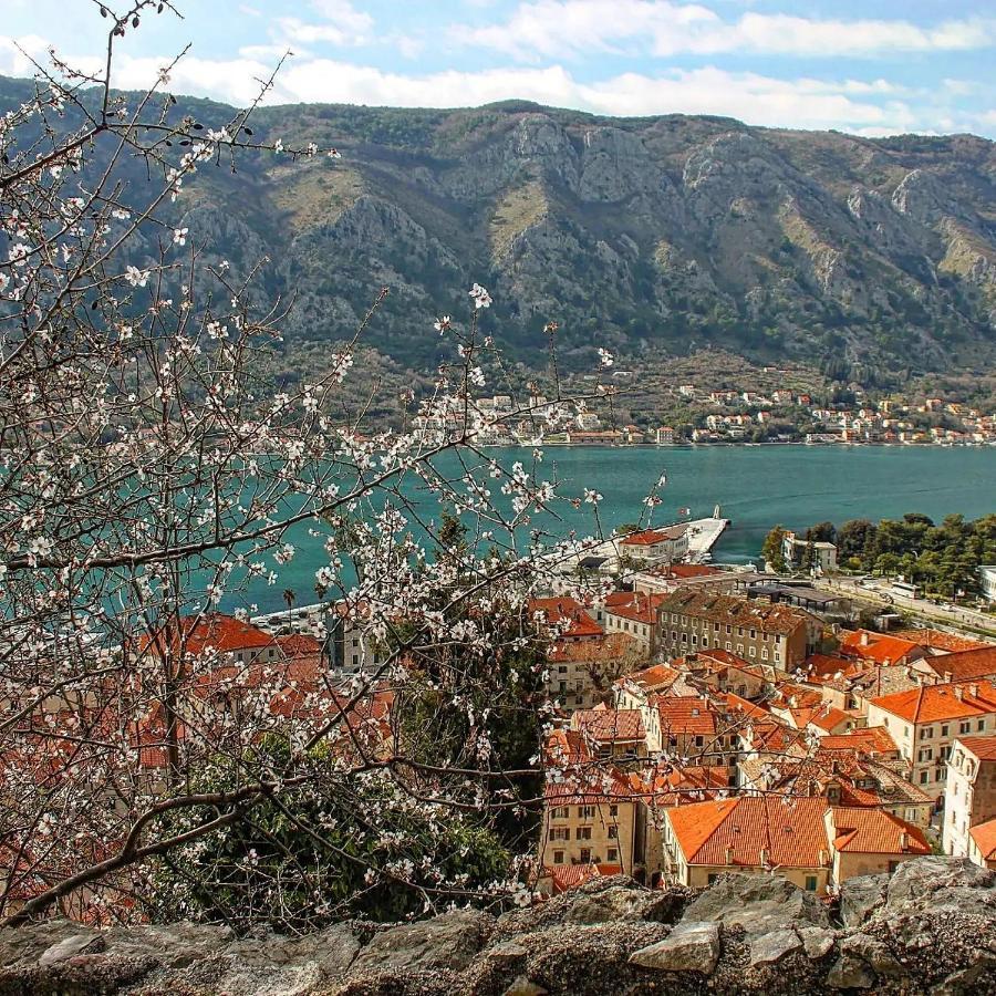Old Town Boskovic Apartment Cattaro Esterno foto